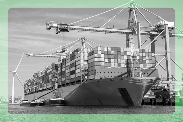 Building Supply Chain Resilience in a Time of Global Disruption